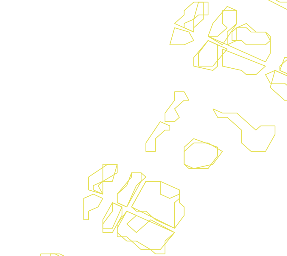 Daksegment ingezoomd met contourlijnen en structuurweergave