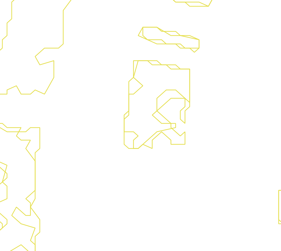 Daksegment ingezoomd met contourlijnen en structuurweergave