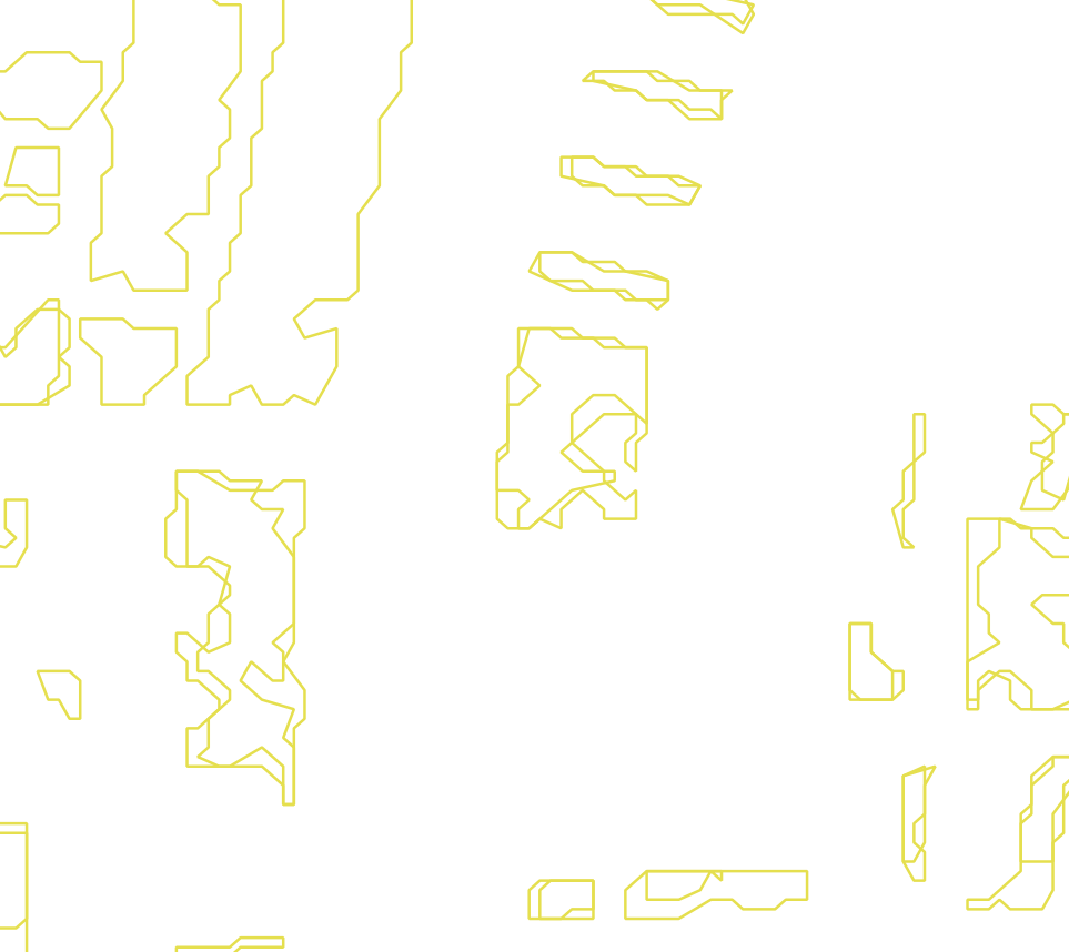 Daksegment met contourlijnen en structuurweergave