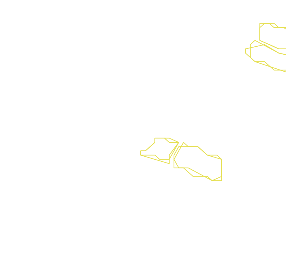 Daksegment ingezoomd met contourlijnen en structuurweergave