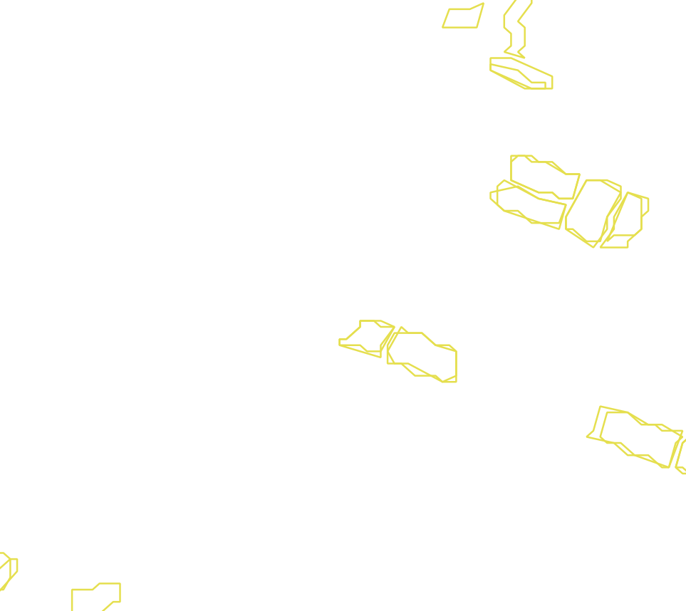 Daksegment met contourlijnen en structuurweergave