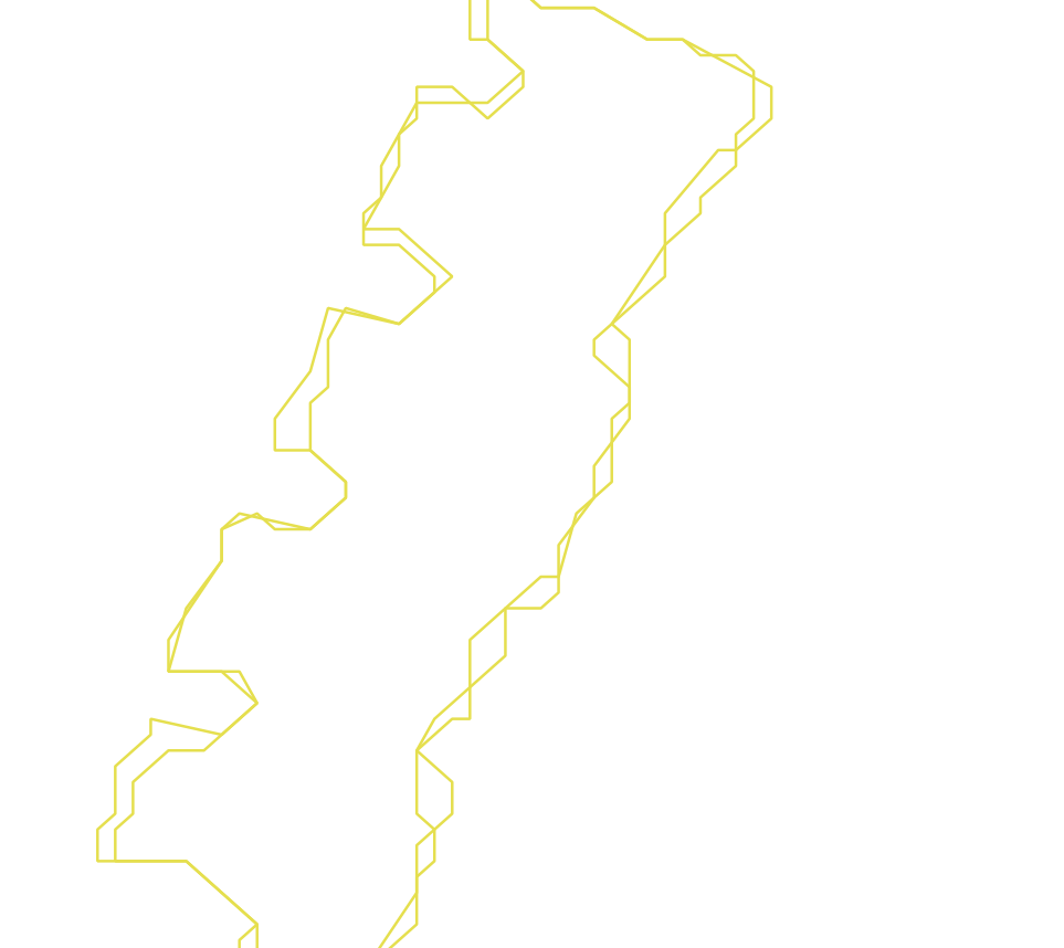 Daksegment ingezoomd met contourlijnen en structuurweergave