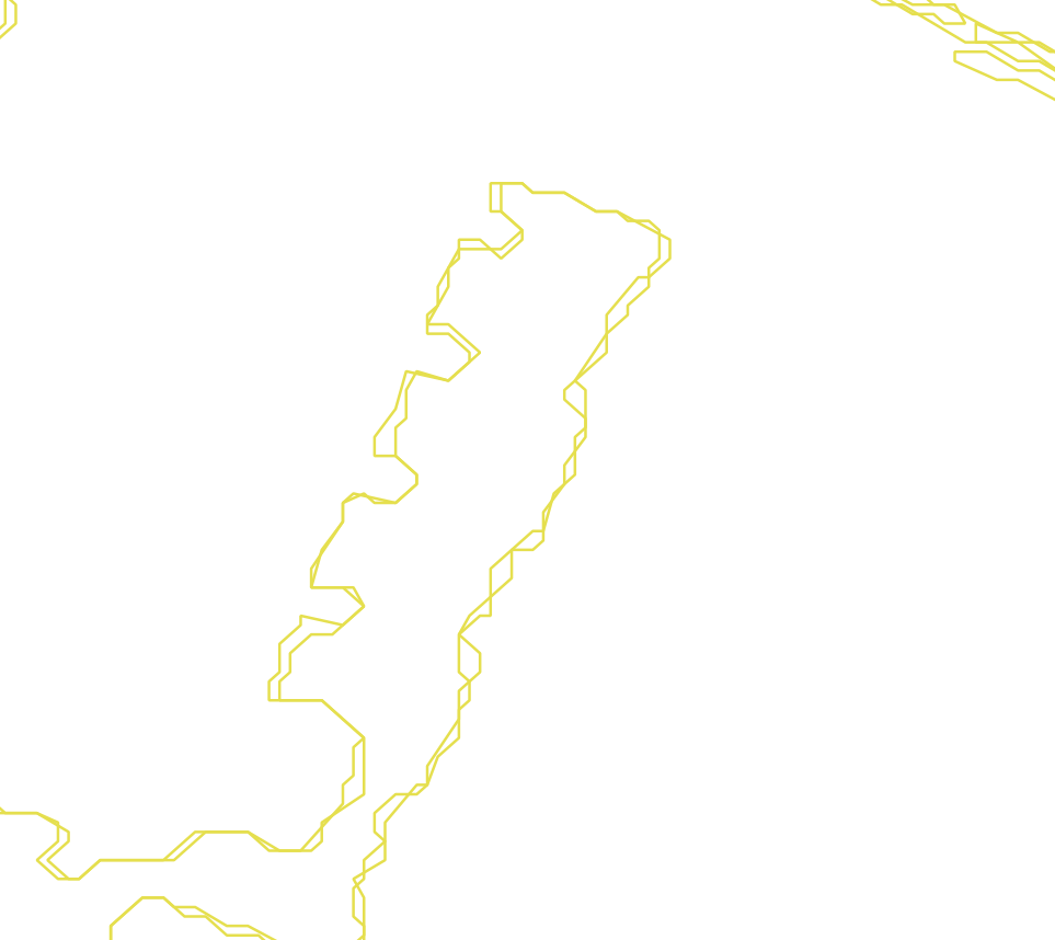 Daksegment met contourlijnen en structuurweergave