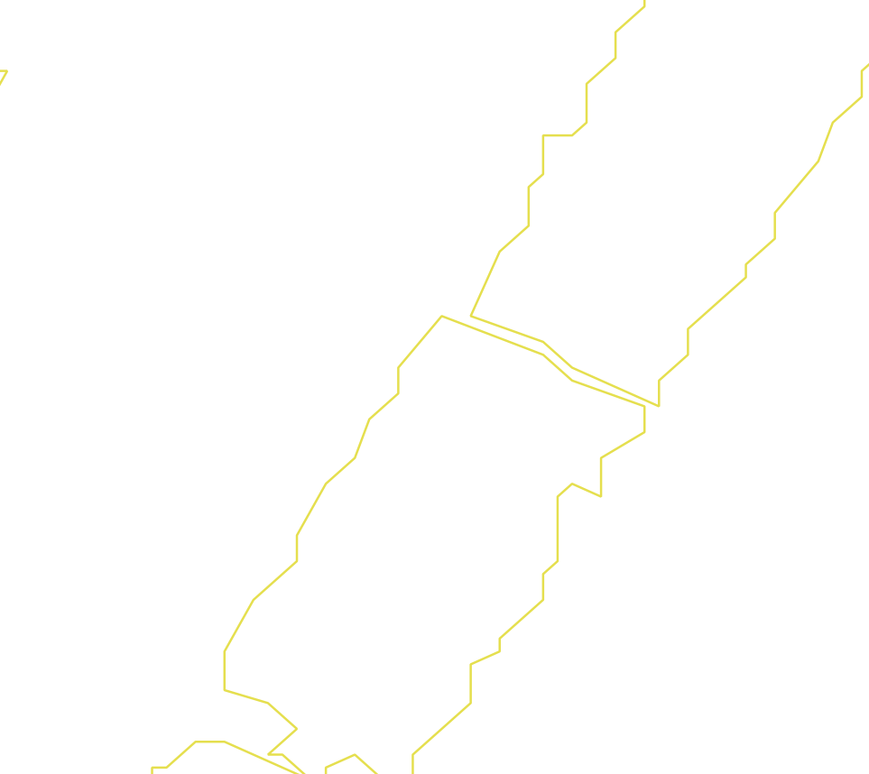 Daksegment ingezoomd met contourlijnen en structuurweergave