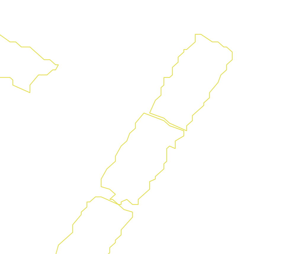 Daksegment met contourlijnen en structuurweergave