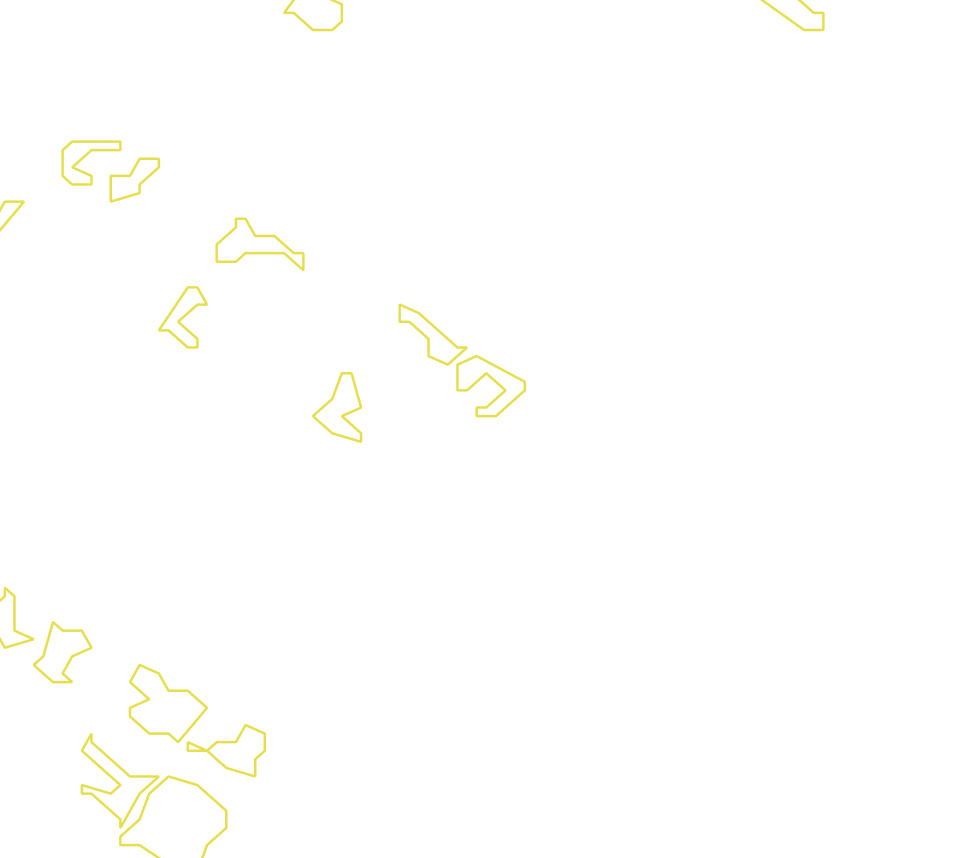 Daksegment met contourlijnen en structuurweergave