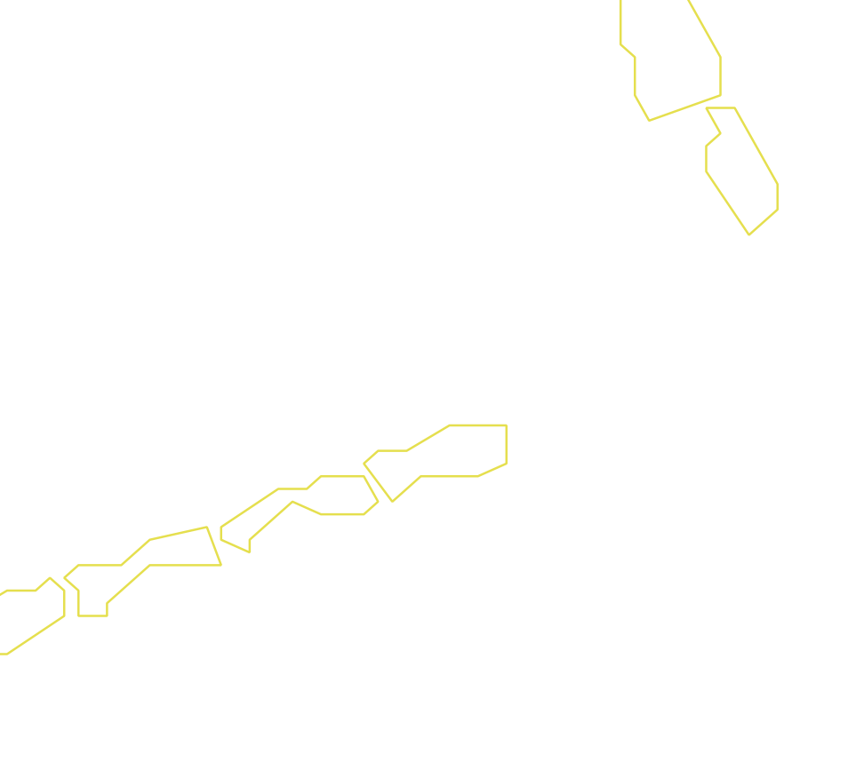 Daksegment ingezoomd met contourlijnen en structuurweergave
