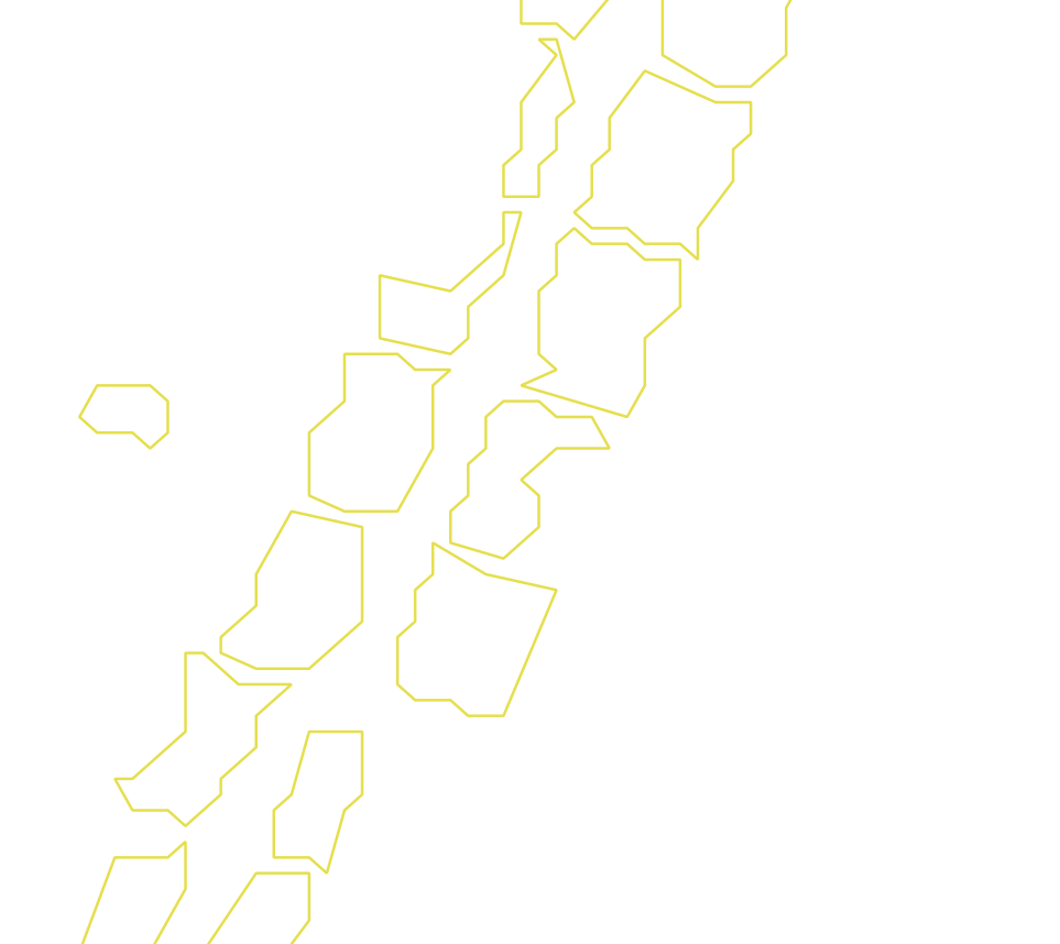 Daksegment ingezoomd met contourlijnen en structuurweergave