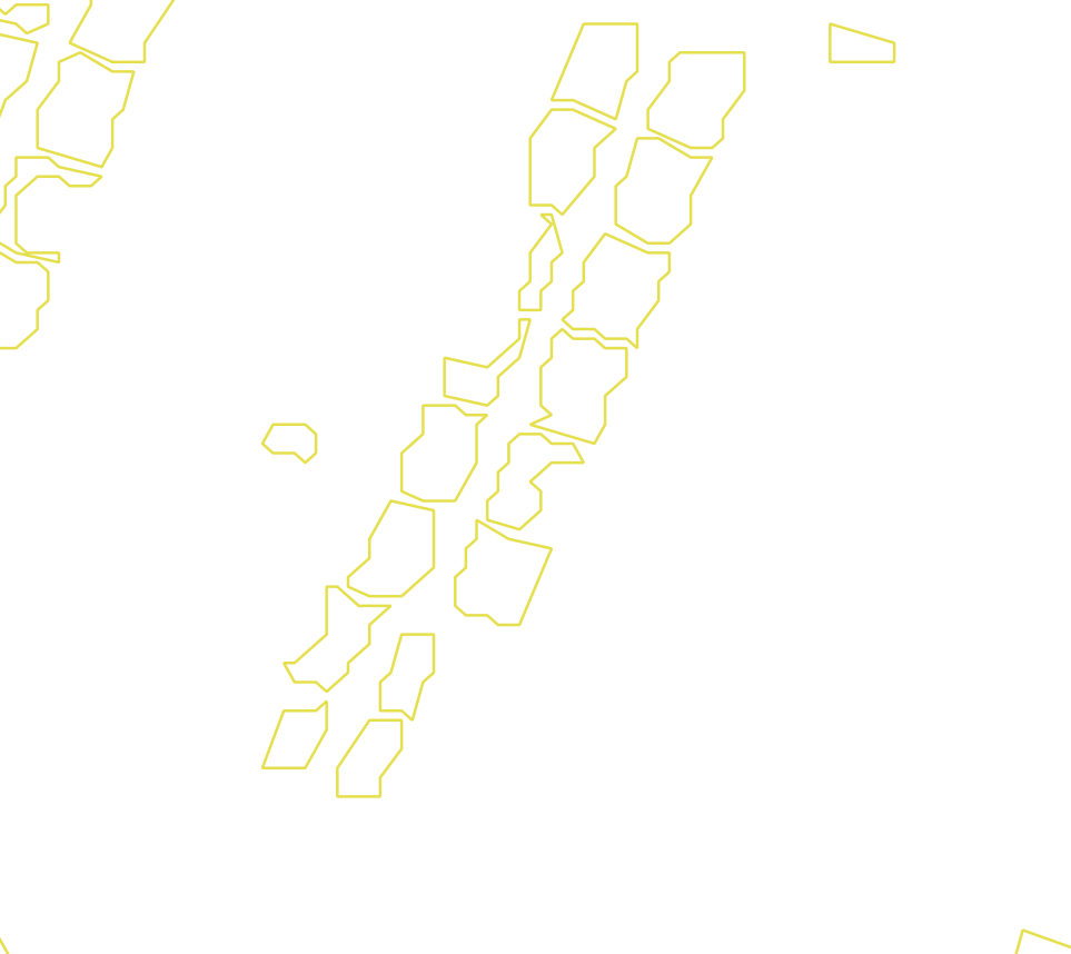 Daksegment met contourlijnen en structuurweergave