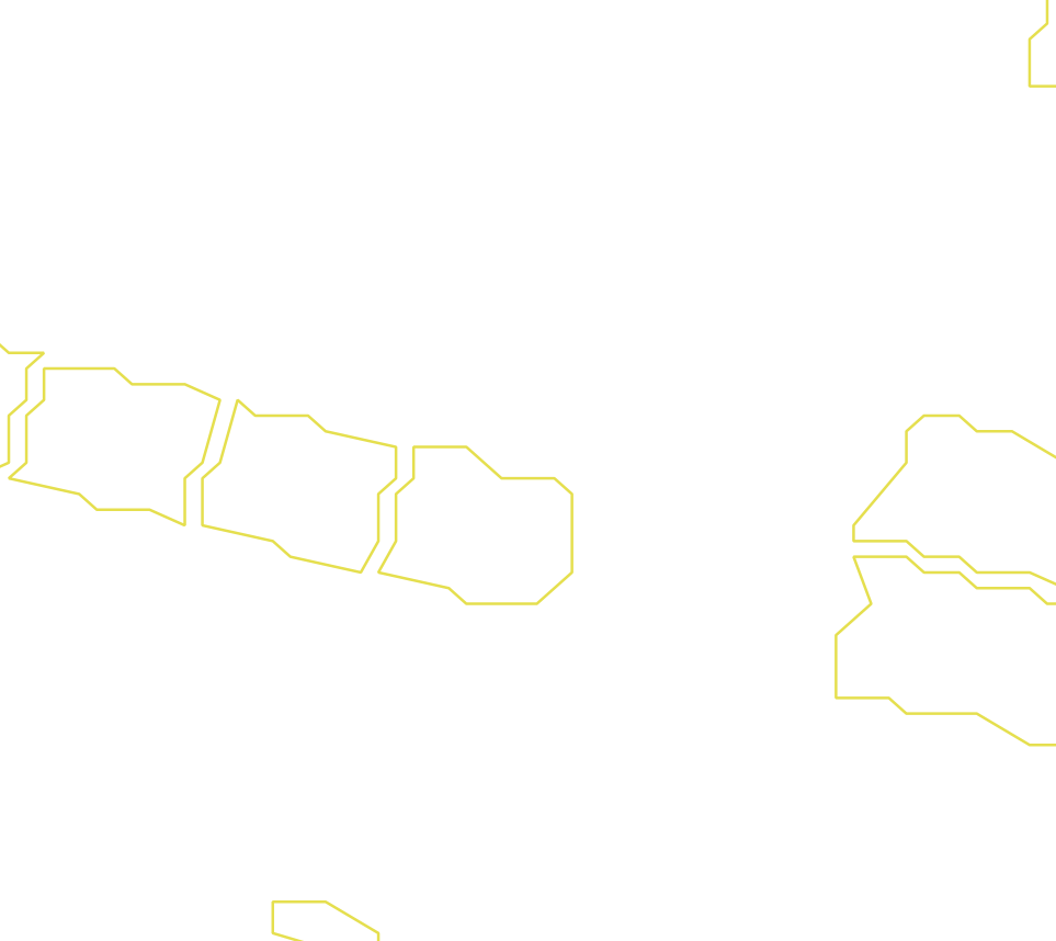 Daksegment ingezoomd met contourlijnen en structuurweergave