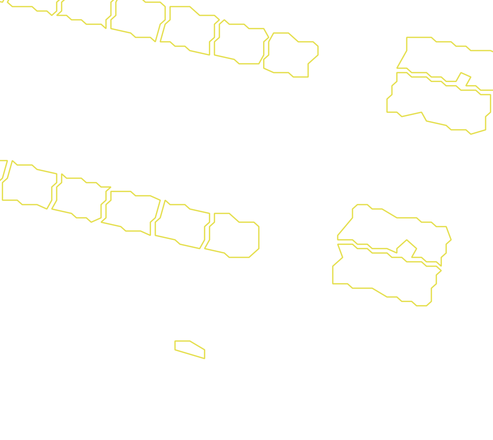 Daksegment met contourlijnen en structuurweergave