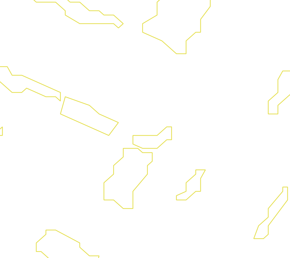 Daksegment ingezoomd met contourlijnen en structuurweergave
