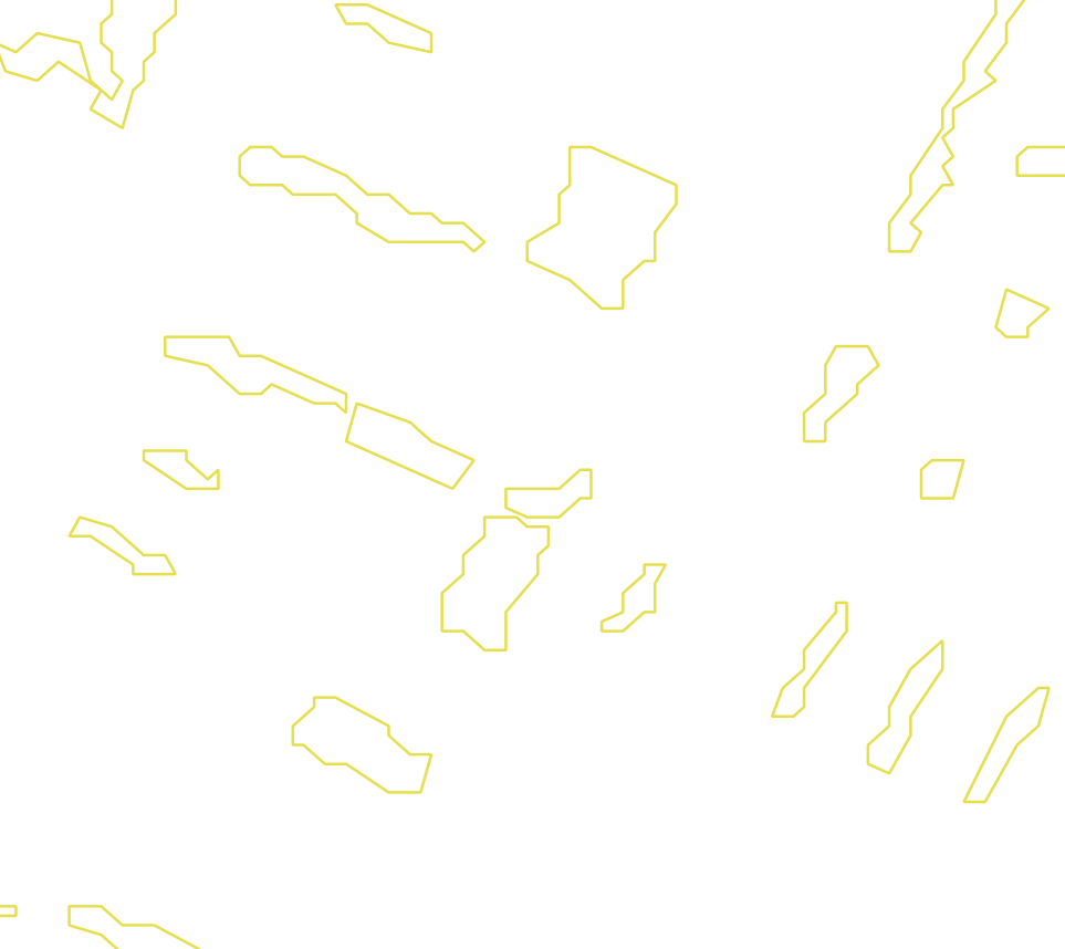 Daksegment met contourlijnen en structuurweergave