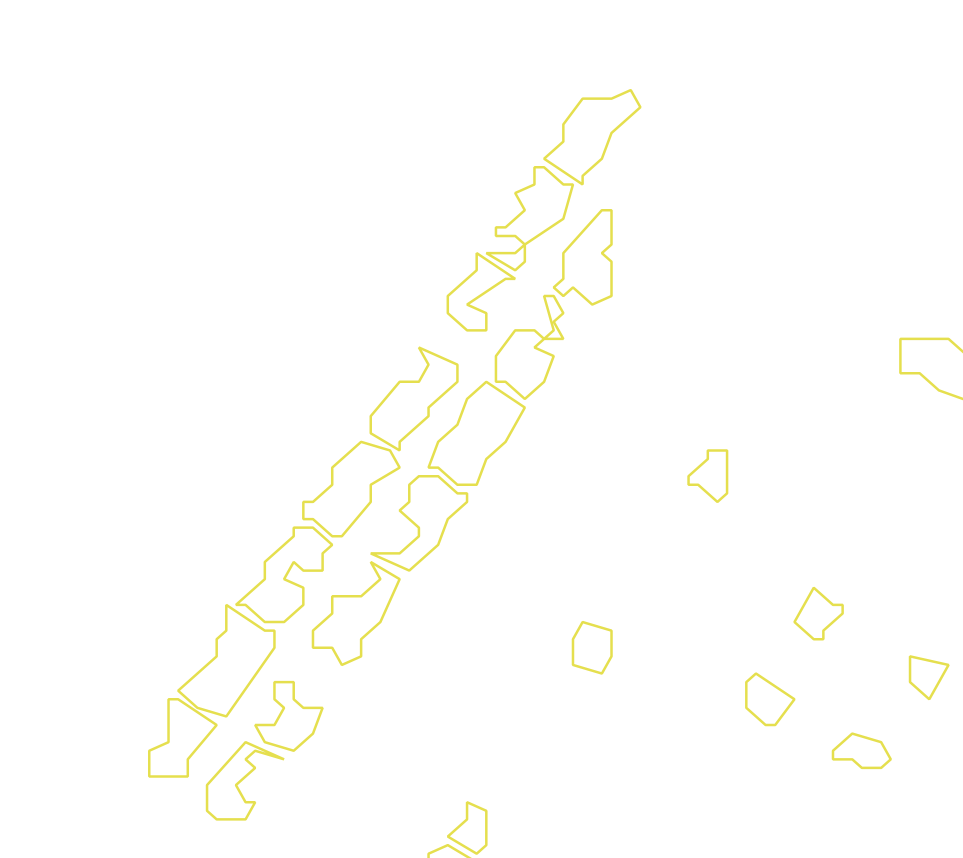 Daksegment met contourlijnen en structuurweergave