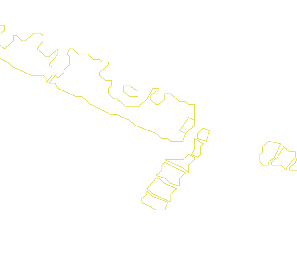 Daksegment met contourlijnen en structuurweergave