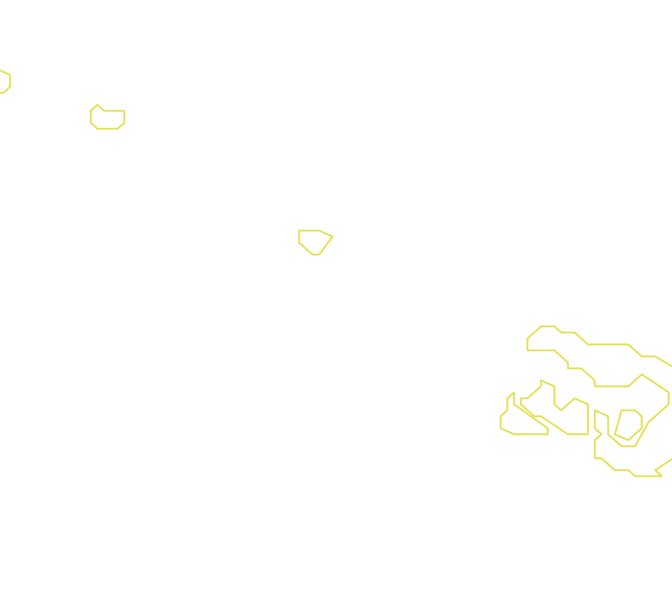 Daksegment met contourlijnen en structuurweergave