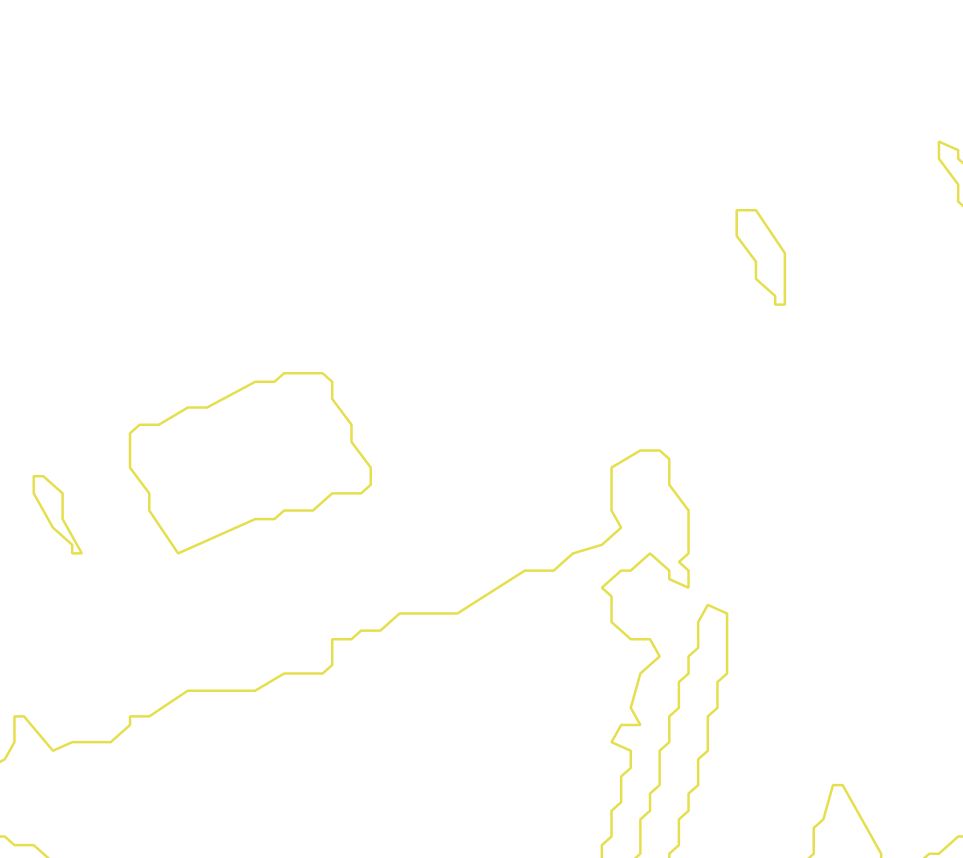 Daksegment met contourlijnen en structuurweergave
