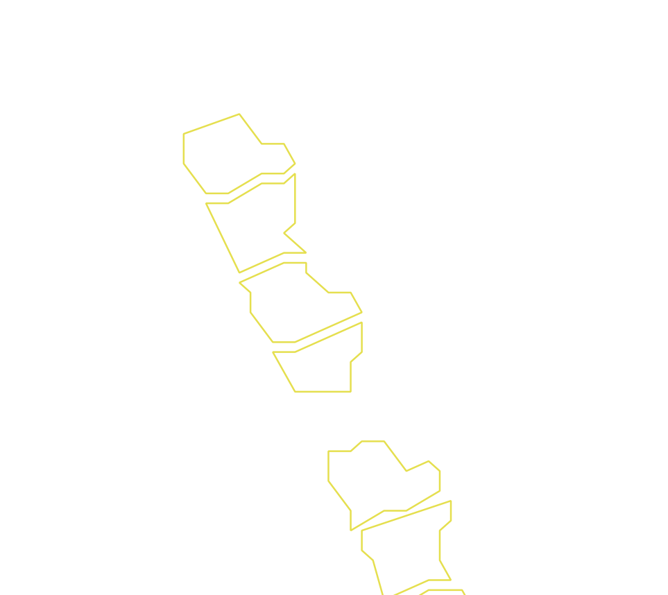 Daksegment ingezoomd met contourlijnen en structuurweergave