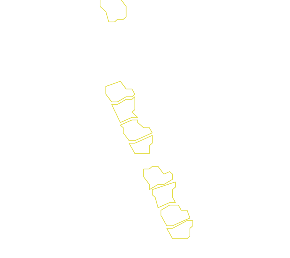 Daksegment met contourlijnen en structuurweergave