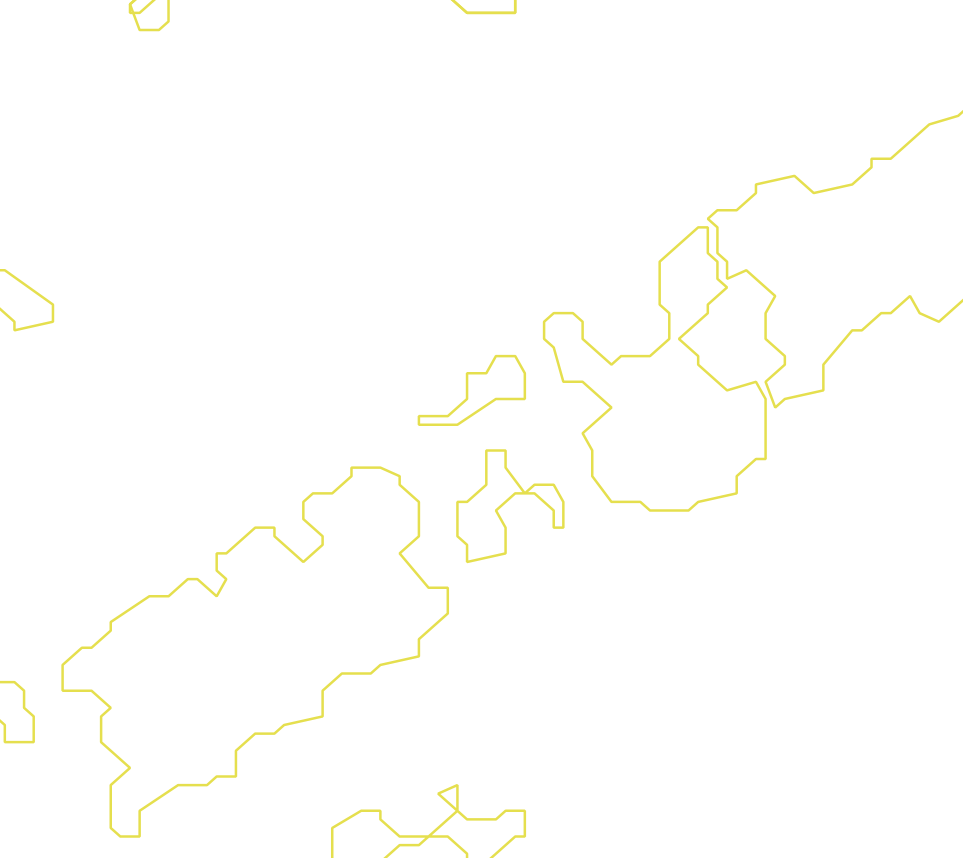 Daksegment met contourlijnen en structuurweergave