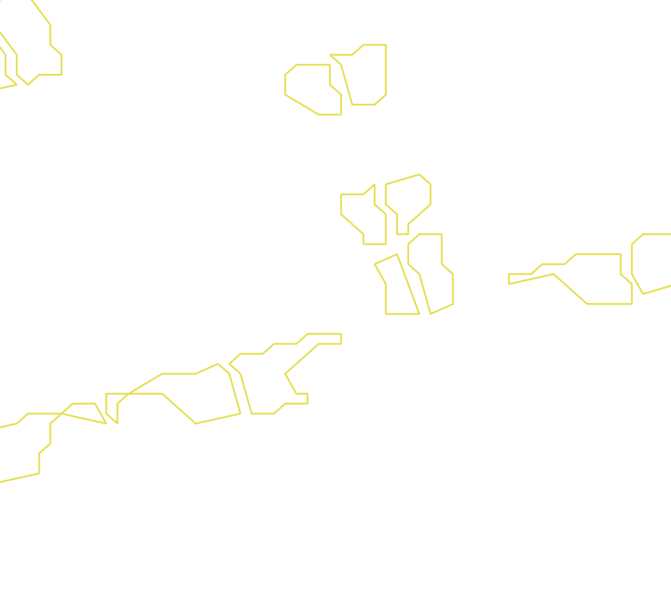Daksegment ingezoomd met contourlijnen en structuurweergave