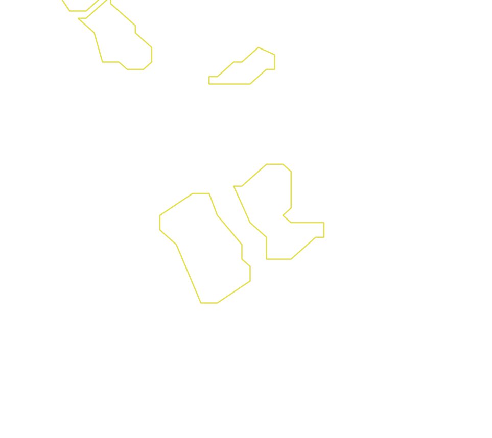 Daksegment ingezoomd met contourlijnen en structuurweergave