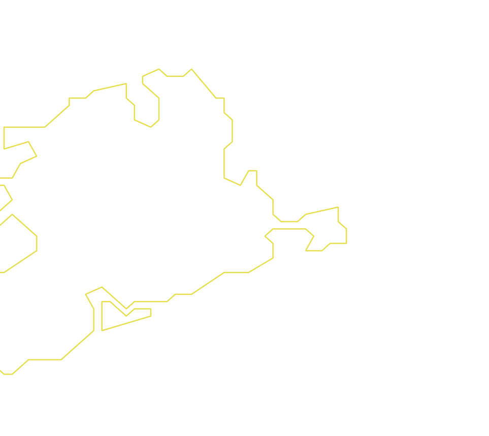 Daksegment ingezoomd met contourlijnen en structuurweergave