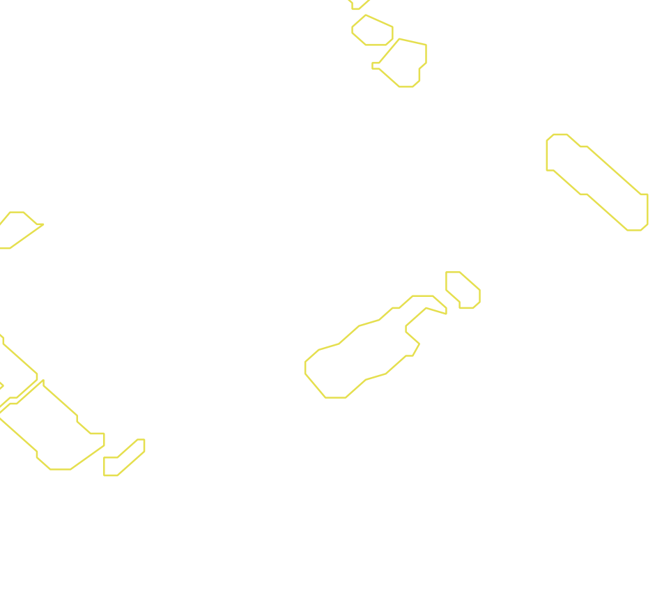 Daksegment met contourlijnen en structuurweergave
