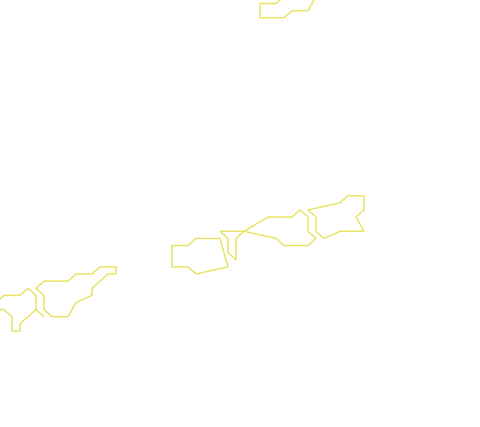 Daksegment ingezoomd met contourlijnen en structuurweergave
