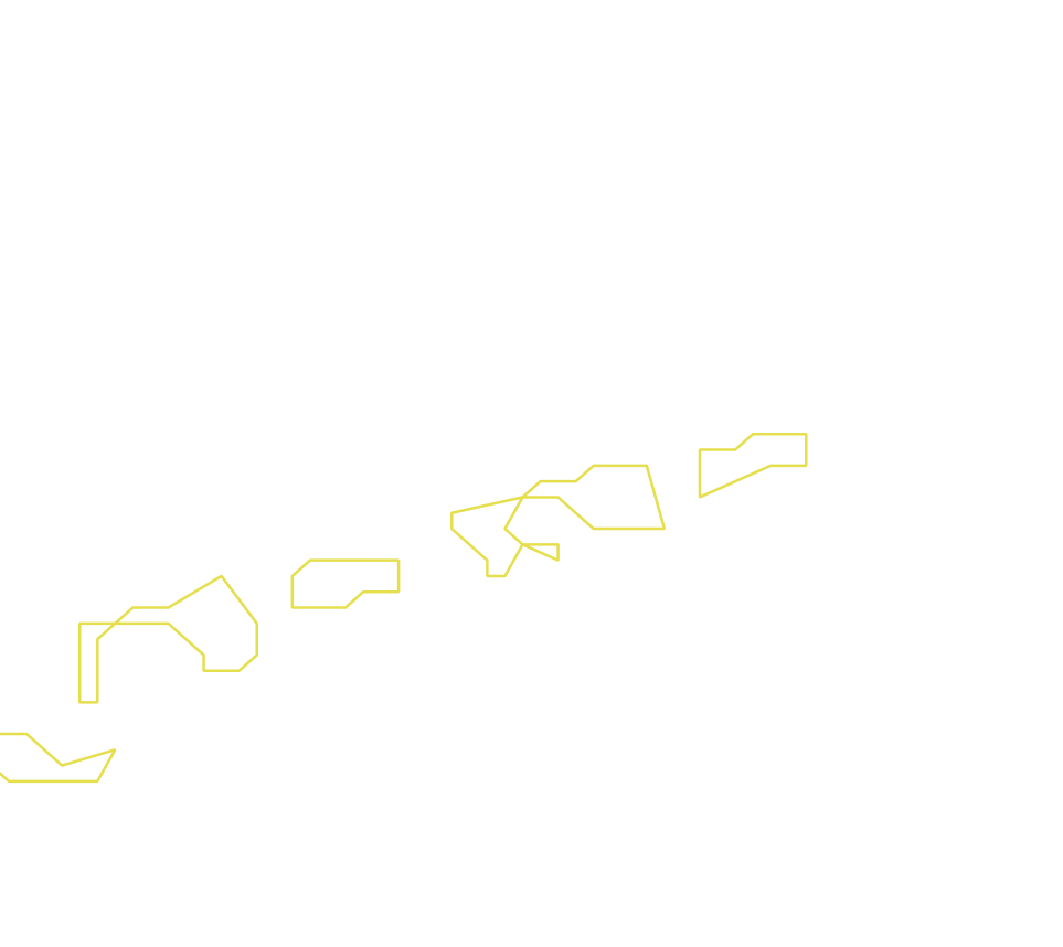 Daksegment ingezoomd met contourlijnen en structuurweergave