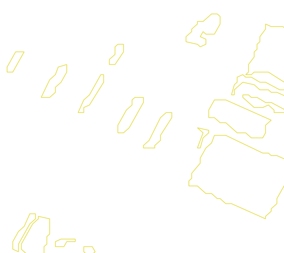 Daksegment met contourlijnen en structuurweergave