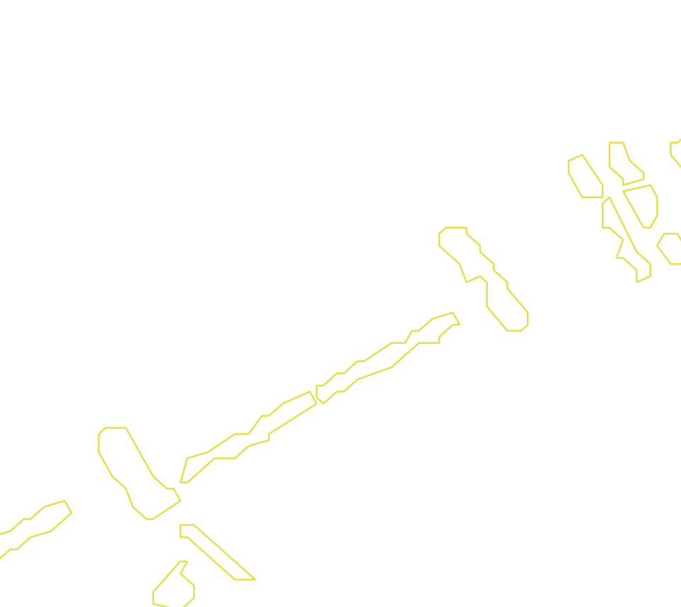 Daksegment met contourlijnen en structuurweergave