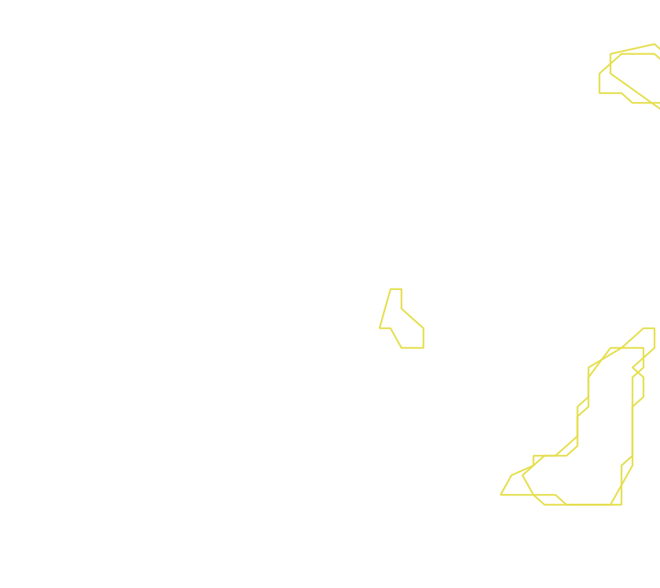 Daksegment ingezoomd met contourlijnen en structuurweergave