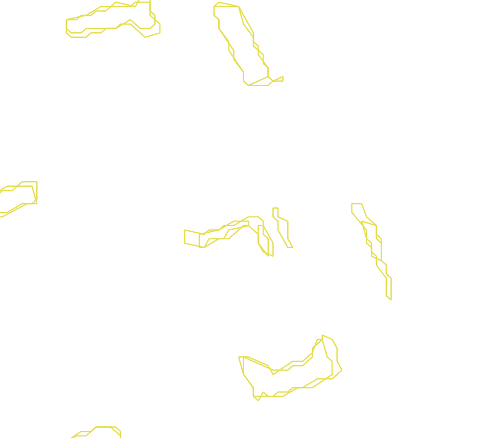 Daksegment met contourlijnen en structuurweergave