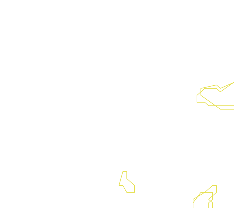 Daksegment ingezoomd met contourlijnen en structuurweergave