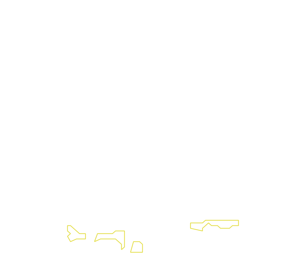 Daksegment met contourlijnen en structuurweergave