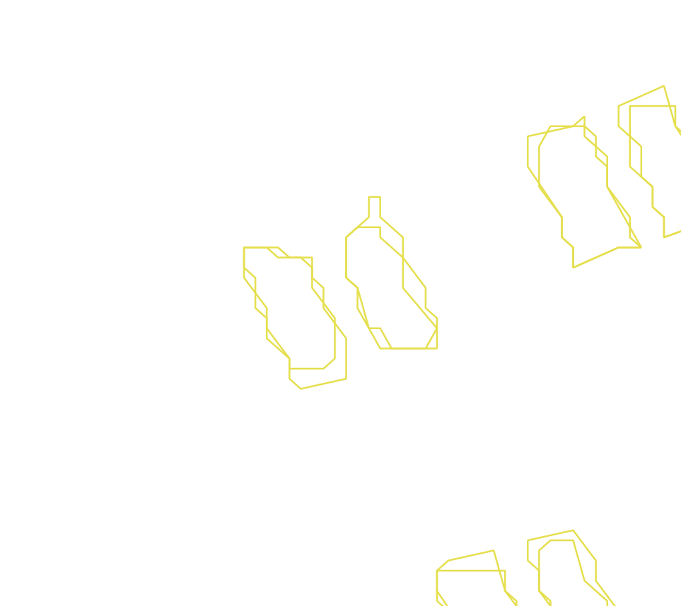 Daksegment ingezoomd met contourlijnen en structuurweergave