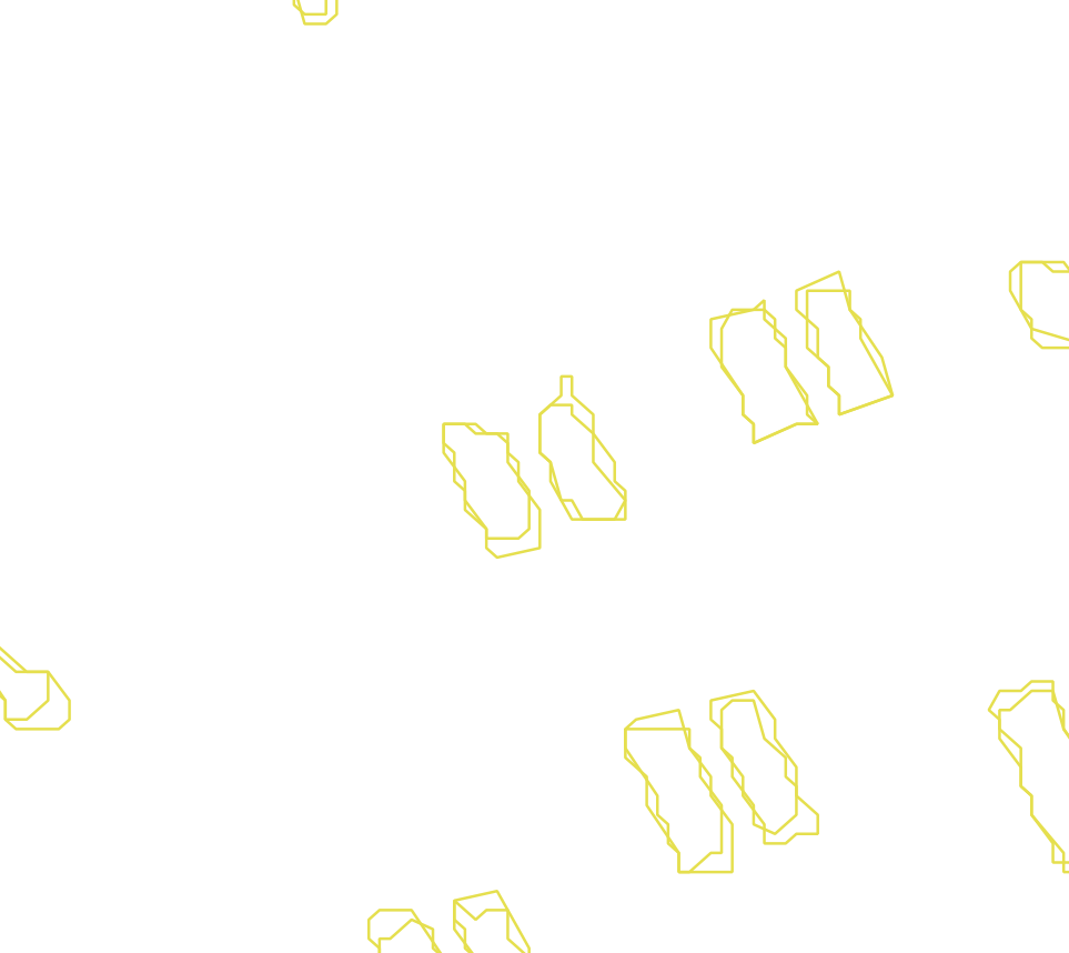 Daksegment met contourlijnen en structuurweergave