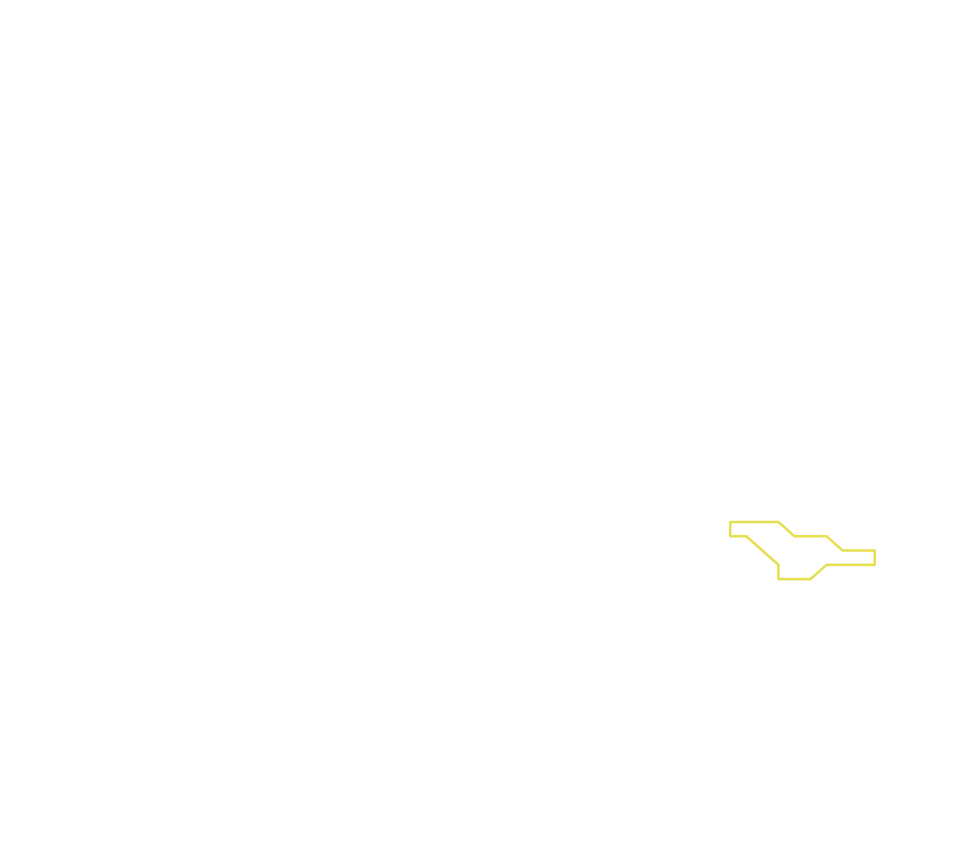Daksegment ingezoomd met contourlijnen en structuurweergave