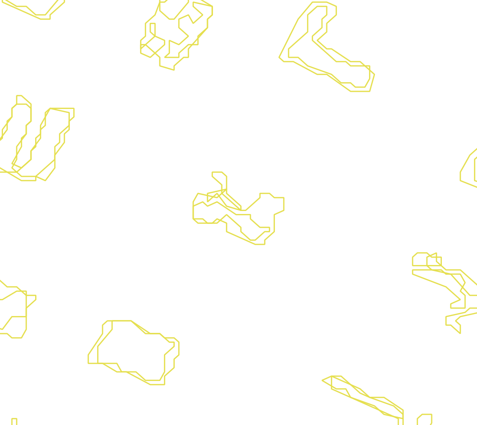 Daksegment met contourlijnen en structuurweergave