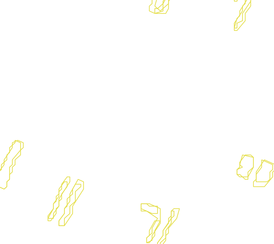 Daksegment met contourlijnen en structuurweergave