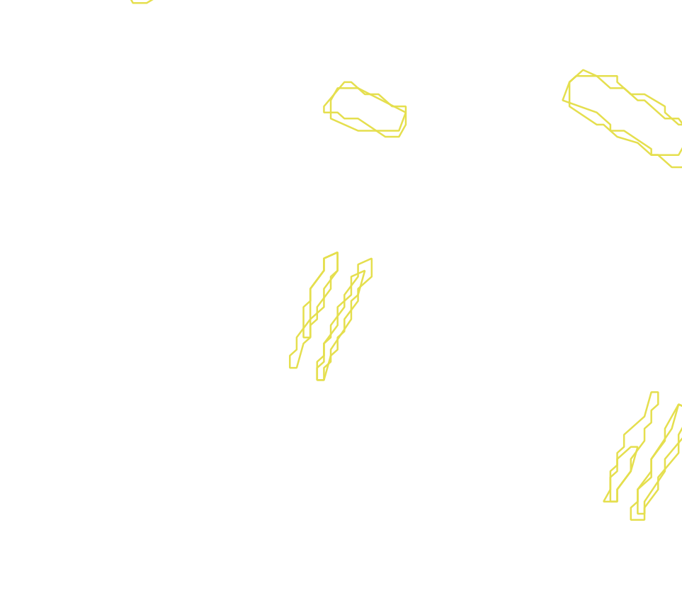 Daksegment met contourlijnen en structuurweergave