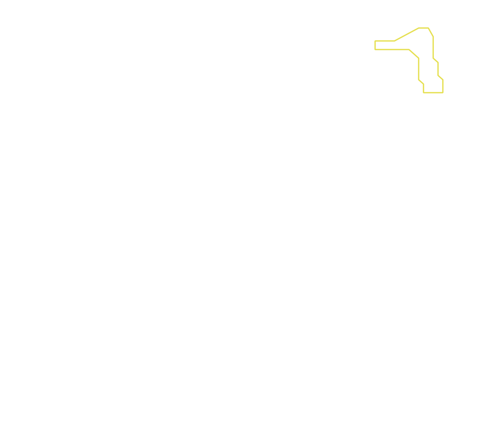 Daksegment met contourlijnen en structuurweergave
