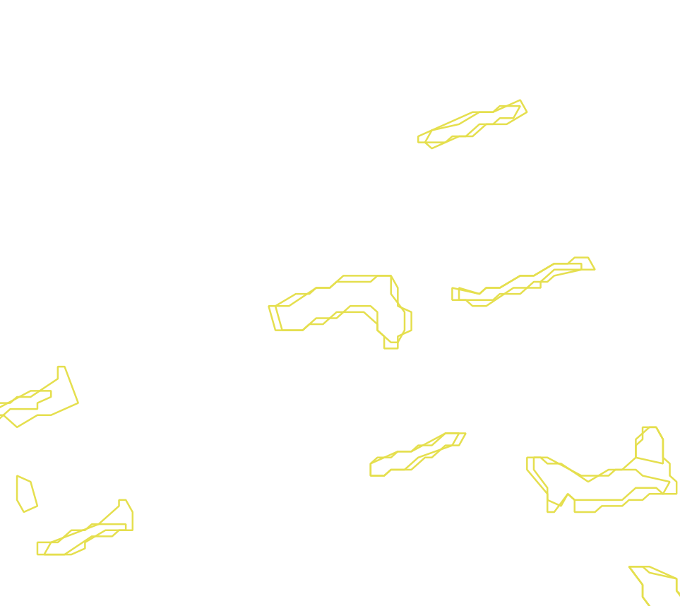 Daksegment met contourlijnen en structuurweergave