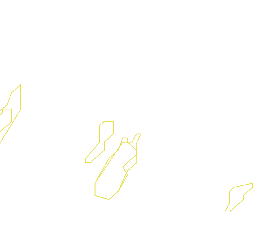 Daksegment ingezoomd met contourlijnen en structuurweergave