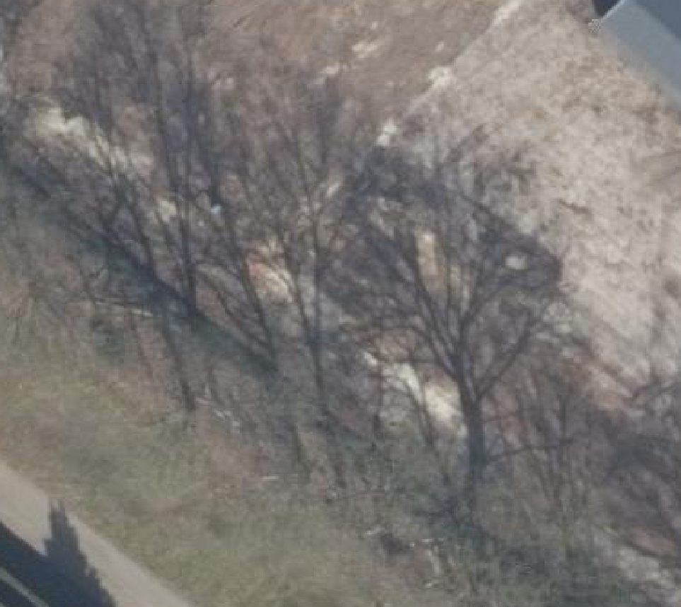True ortho luchtfoto van Voorthuizen met zicht op woning