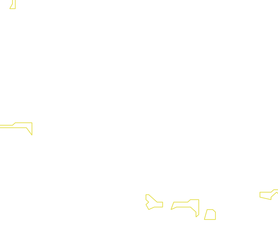 Daksegment met contourlijnen en structuurweergave