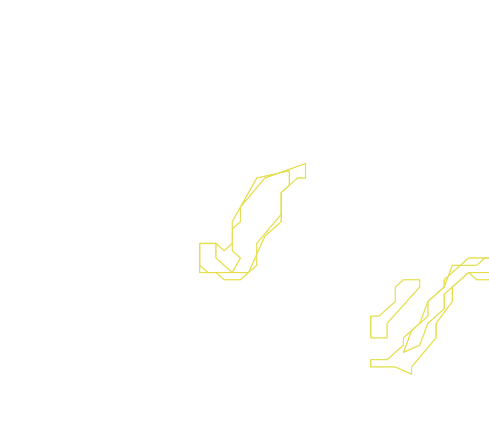 Daksegment ingezoomd met contourlijnen en structuurweergave
