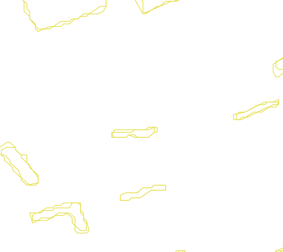 Daksegment met contourlijnen en structuurweergave