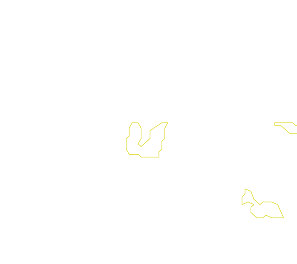 Daksegment met contourlijnen en structuurweergave